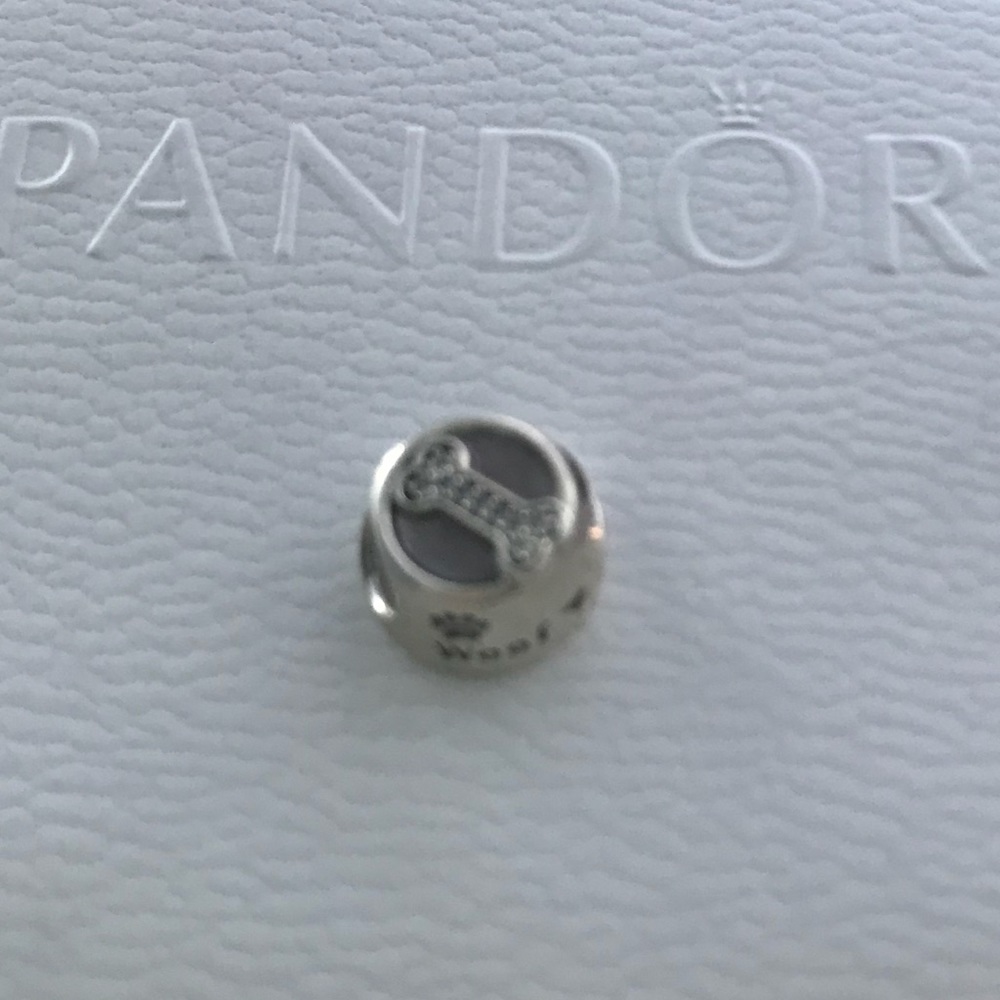Authentic Pandora Charm